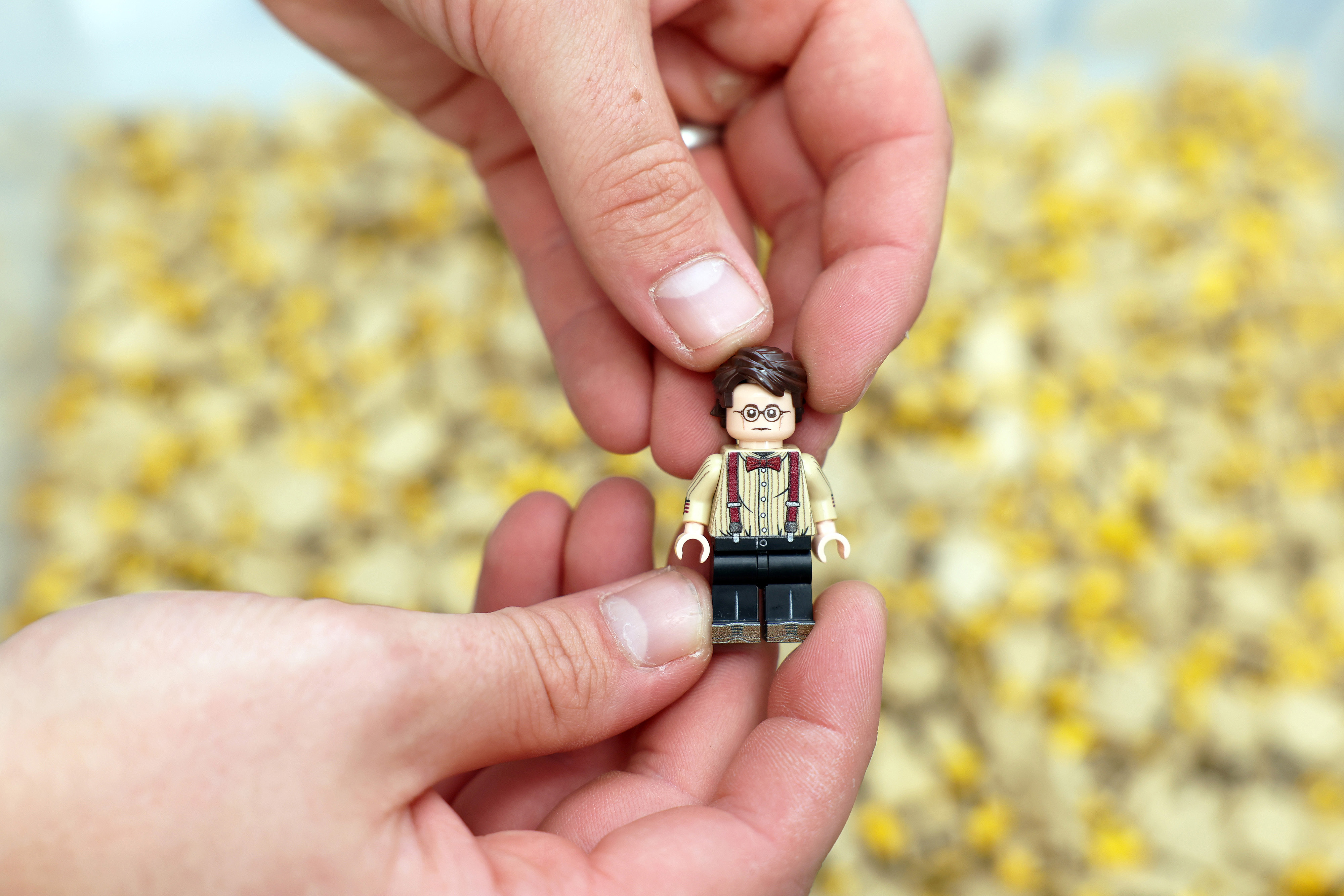 Minifigs.me 020