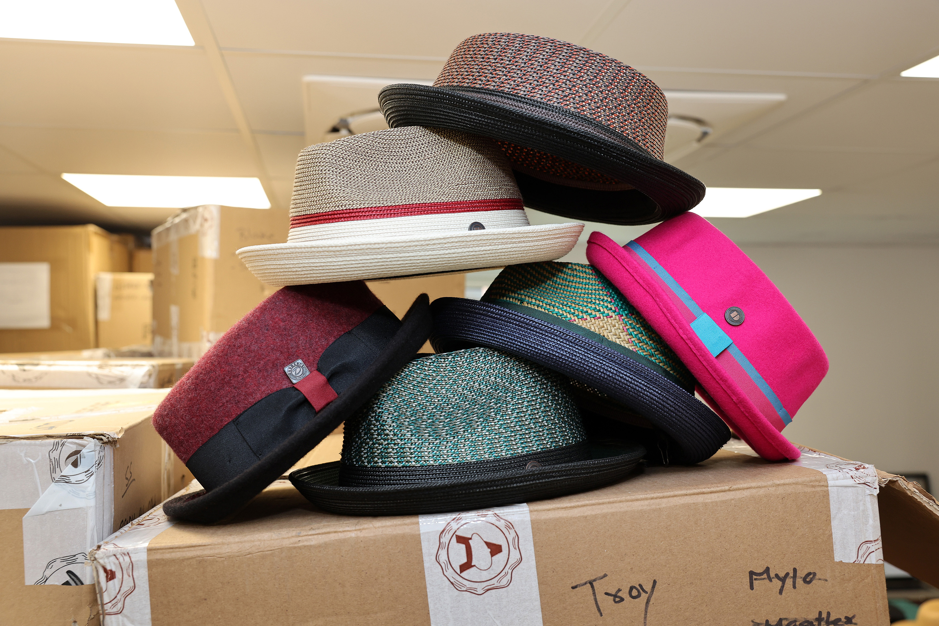 Dasmarca Hat 05